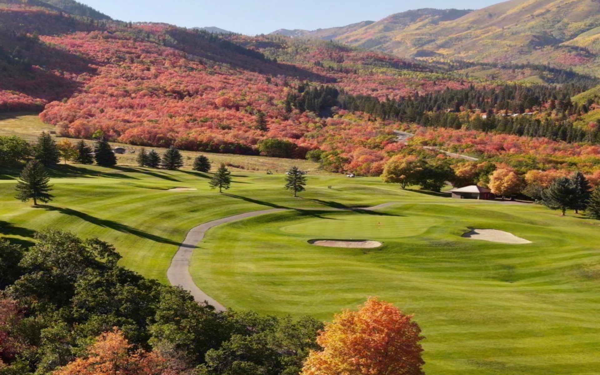 golf_image