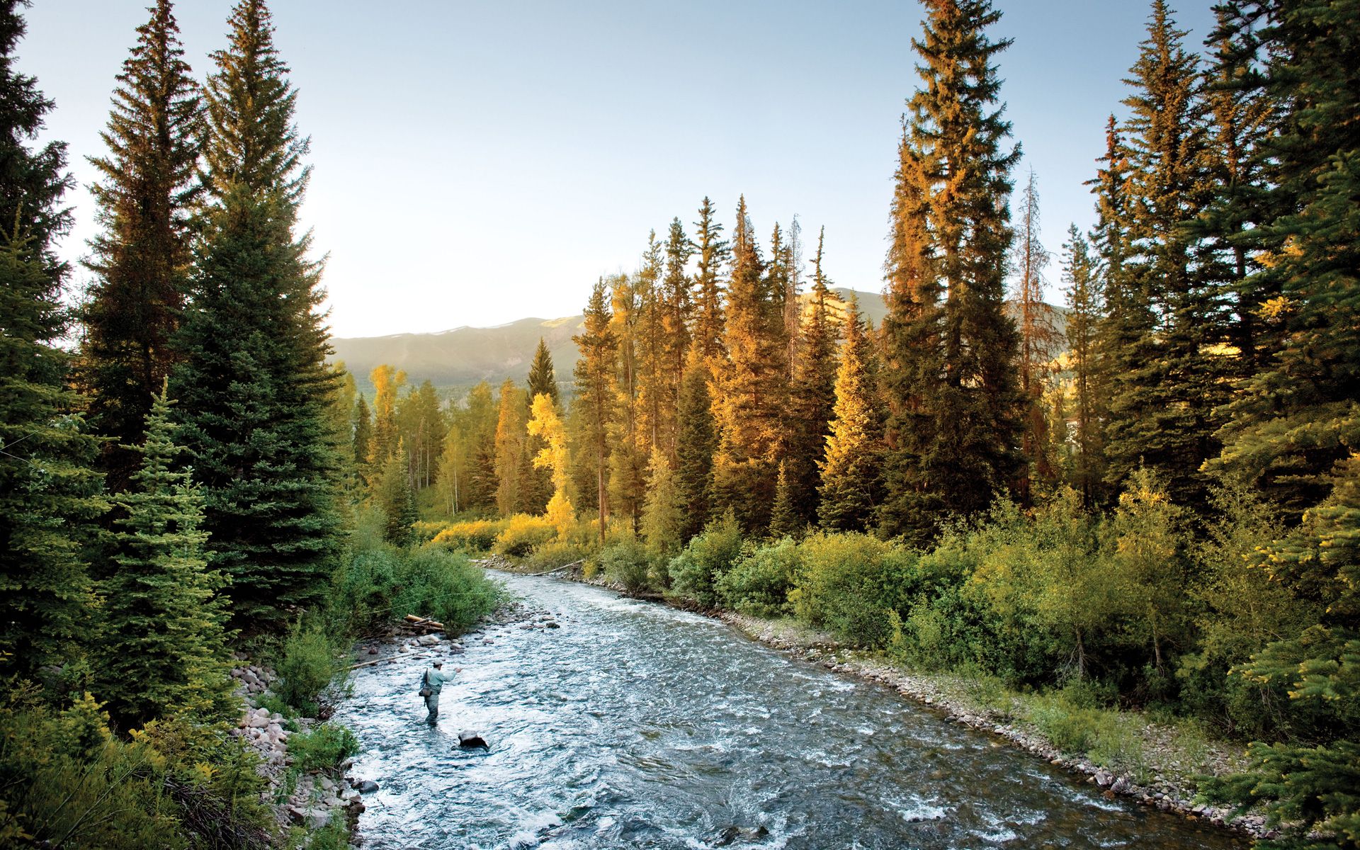 fly_fishing_image